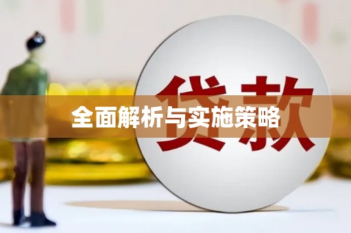 庆元全面解析与实施策略
