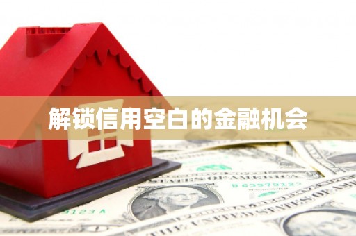 庆元解锁信用空白的金融机会