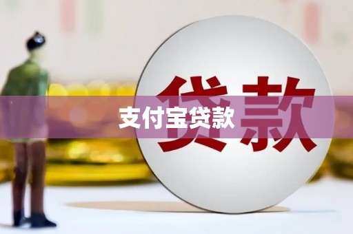 庆元支付宝贷款