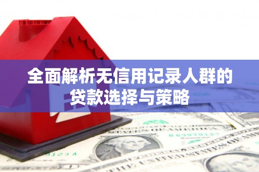 庆元全面解析无信用记录人群的贷款选择与策略