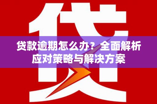 庆元贷款逾期怎么办？全面解析应对策略与解决方案