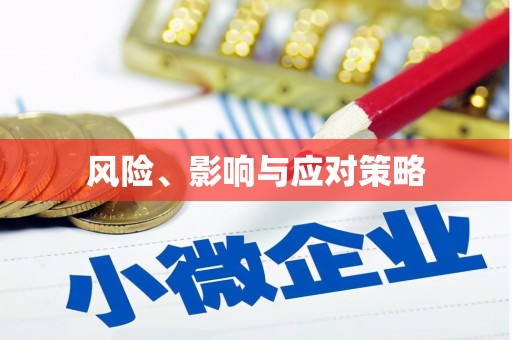 庆元风险、影响与应对策略