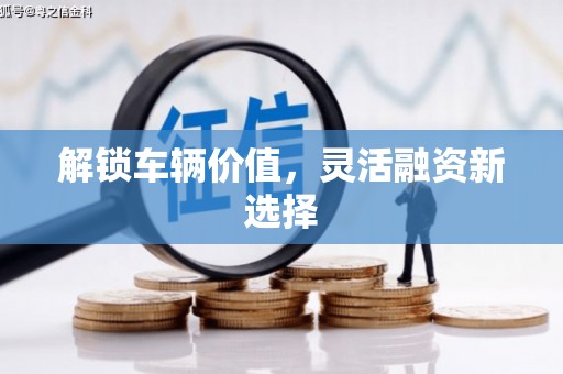 庆元解锁车辆价值，灵活融资新选择