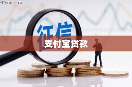 庆元支付宝贷款