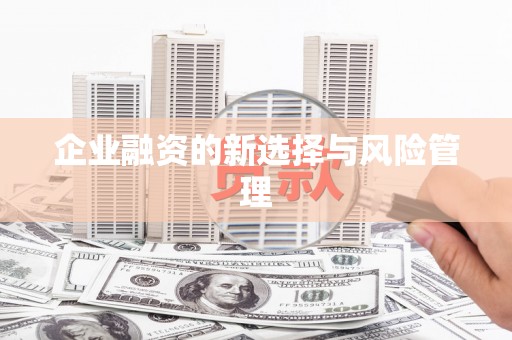 庆元企业融资的新选择与风险管理
