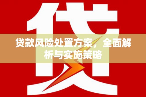 庆元贷款风险处置方案，全面解析与实施策略