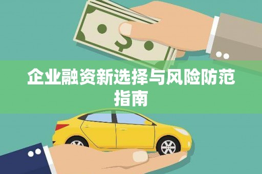 庆元企业融资新选择与风险防范指南