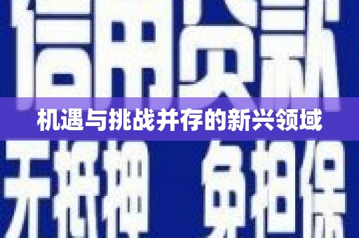 庆元机遇与挑战并存的新兴领域