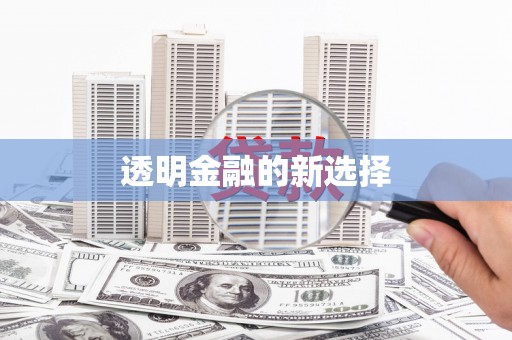 庆元透明金融的新选择