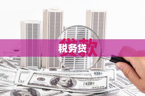 庆元税务贷