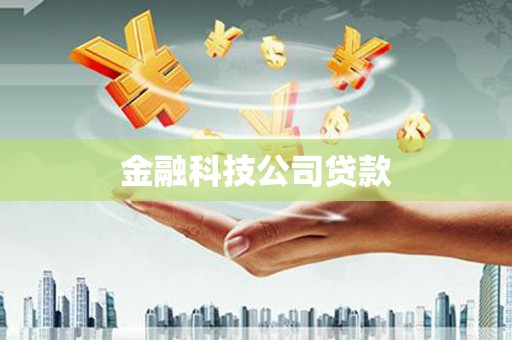 庆元金融科技公司贷款
