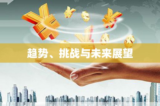 庆元趋势、挑战与未来展望