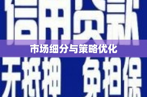 庆元市场细分与策略优化