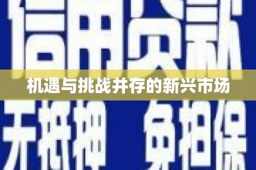 庆元机遇与挑战并存的新兴市场
