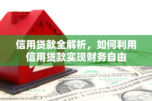 庆元信用贷款全解析，如何利用信用贷款实现财务自由