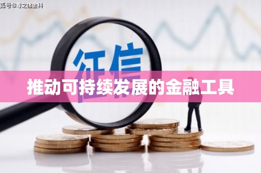 庆元推动可持续发展的金融工具