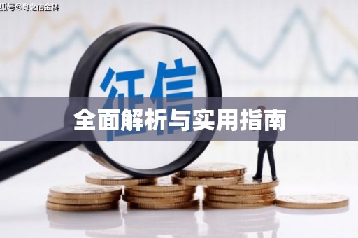 庆元全面解析与实用指南