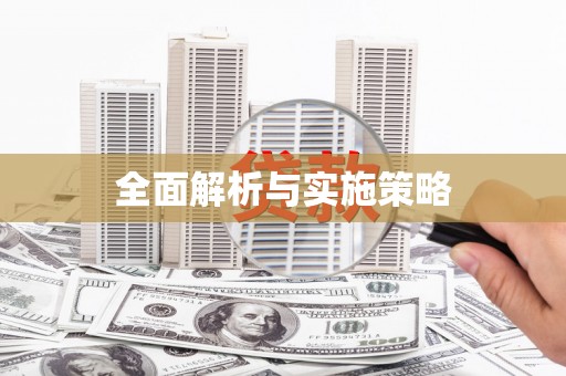 庆元全面解析与实施策略
