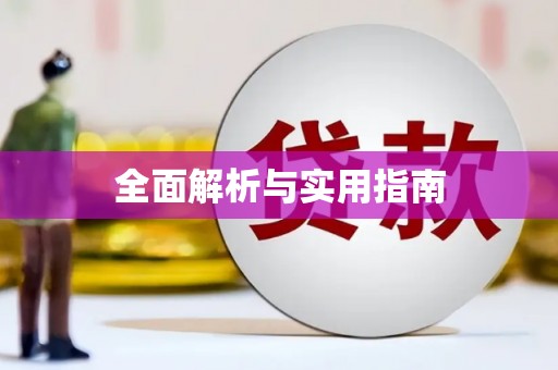 庆元全面解析与实用指南