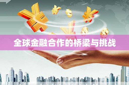 庆元全球金融合作的桥梁与挑战