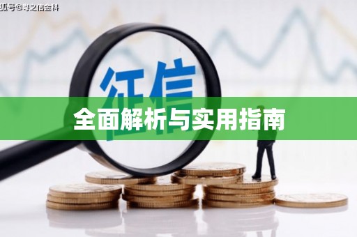 庆元全面解析与实用指南
