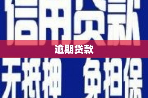 庆元逾期贷款