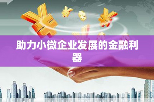 庆元助力小微企业发展的金融利器