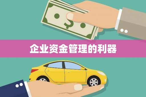 庆元企业资金管理的利器