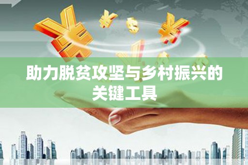 庆元助力脱贫攻坚与乡村振兴的关键工具