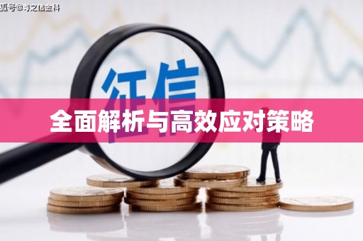 庆元全面解析与高效应对策略