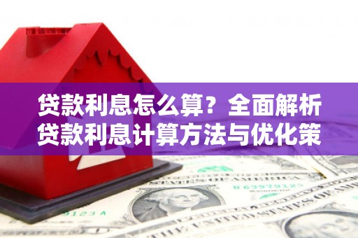 庆元贷款利息怎么算？全面解析贷款利息计算方法与优化策略