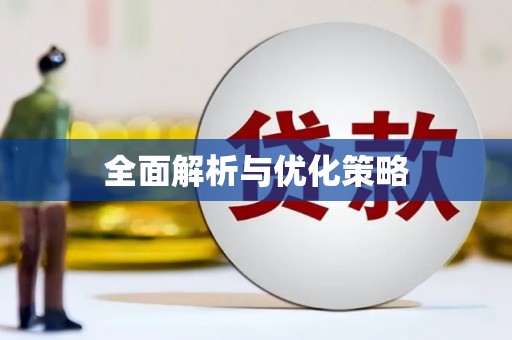庆元全面解析与优化策略