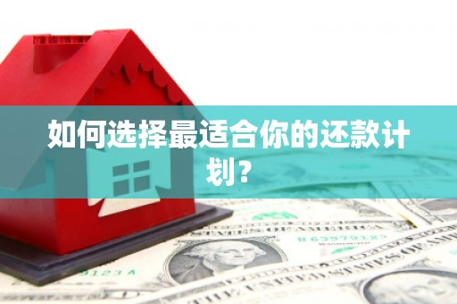 庆元如何选择最适合你的还款计划？