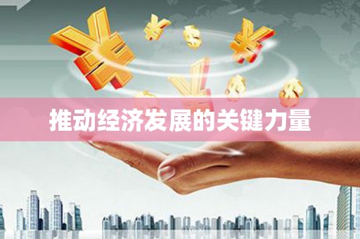 庆元推动经济发展的关键力量