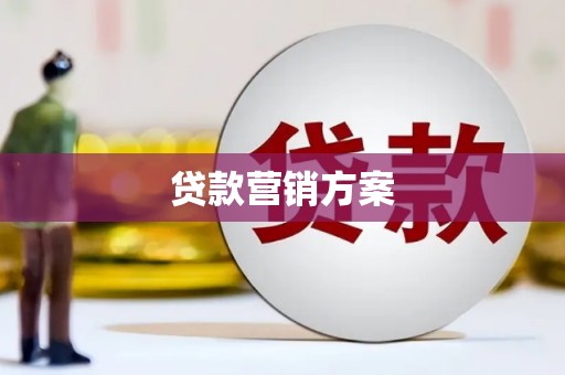 庆元贷款营销方案