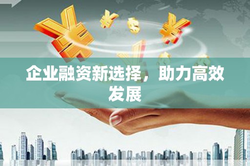 庆元企业融资新选择，助力高效发展