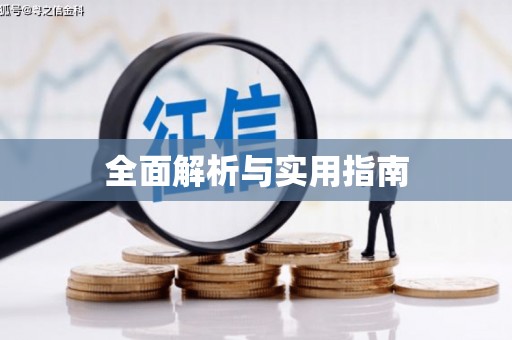 庆元全面解析与实用指南