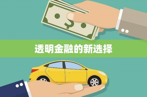 庆元透明金融的新选择