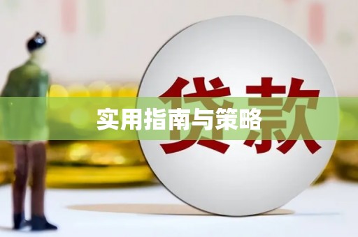 庆元实用指南与策略