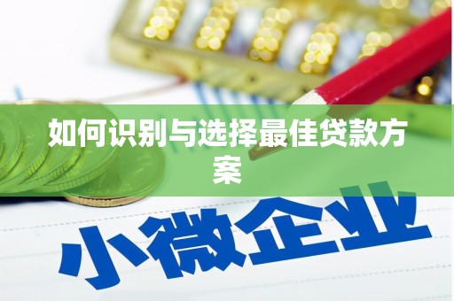 庆元如何识别与选择最佳贷款方案