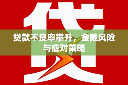 庆元贷款不良率攀升，金融风险与应对策略