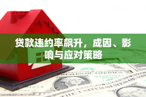庆元贷款违约率飙升，成因、影响与应对策略